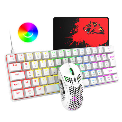 RGB Gaming- Tastatur und Maus-Set