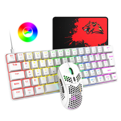 RGB Gaming- Tastatur und Maus-Set